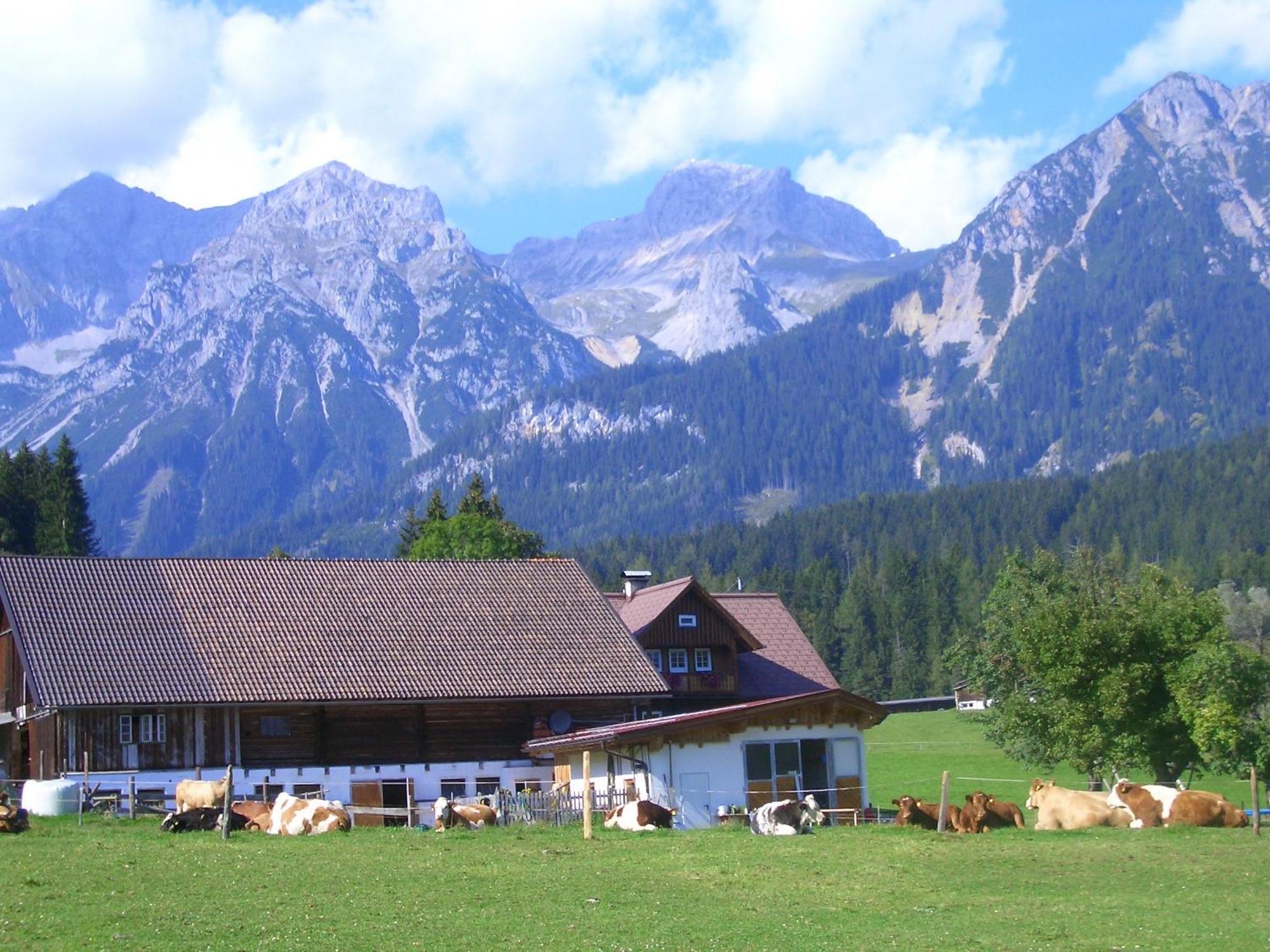 Villa Haslehnerhof Ramsau am Dachstein Exterior foto