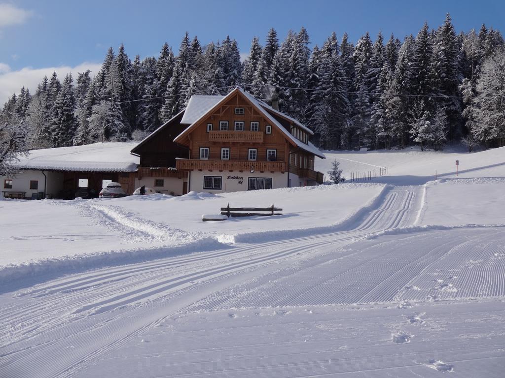 Villa Haslehnerhof Ramsau am Dachstein Exterior foto