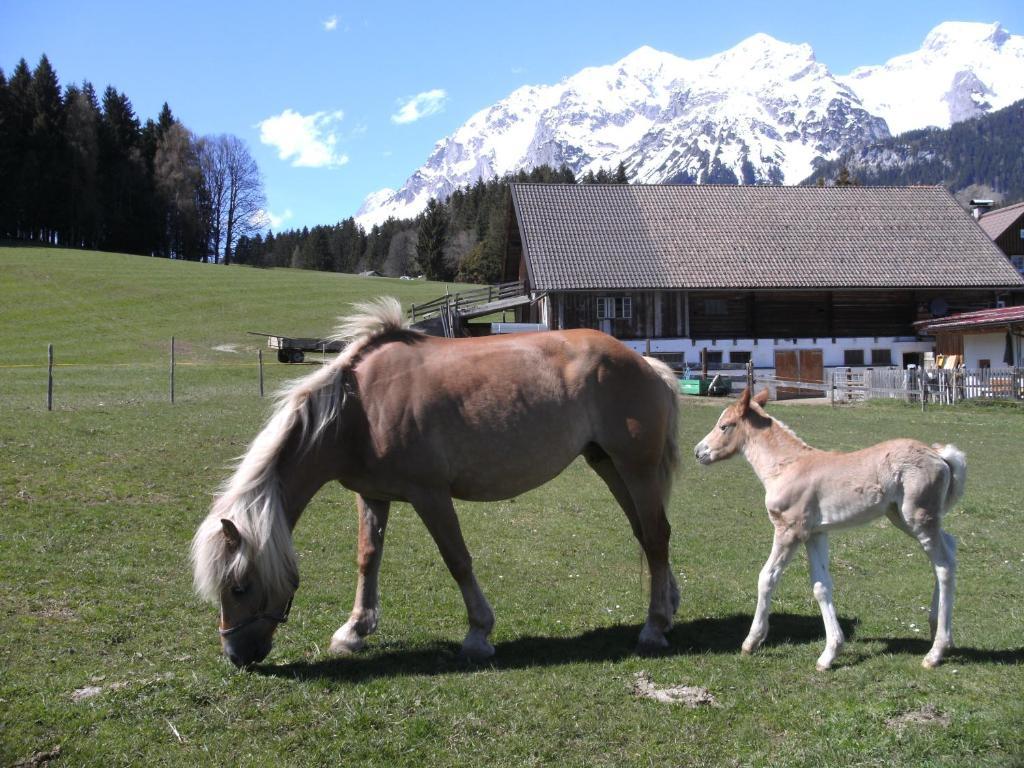 Villa Haslehnerhof Ramsau am Dachstein Exterior foto